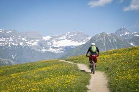 Stay on Course (mountain biking)