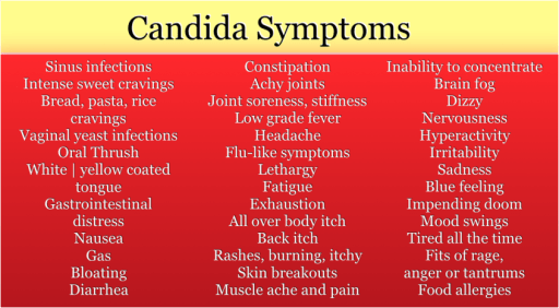 candida-part-2