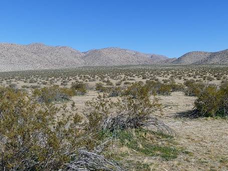 86809683_10219495207584573_1947312045720338432_o